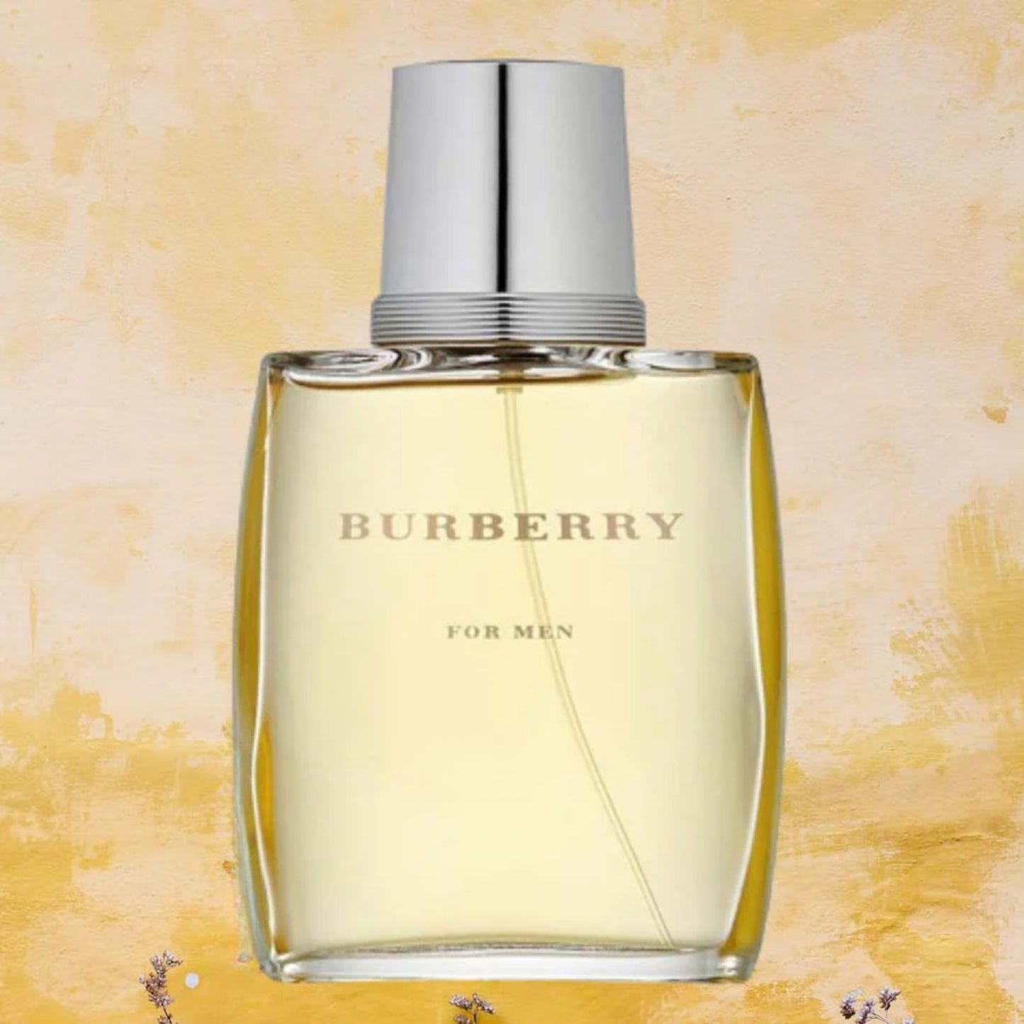 Burberry Classic for Men Eau De Toilette