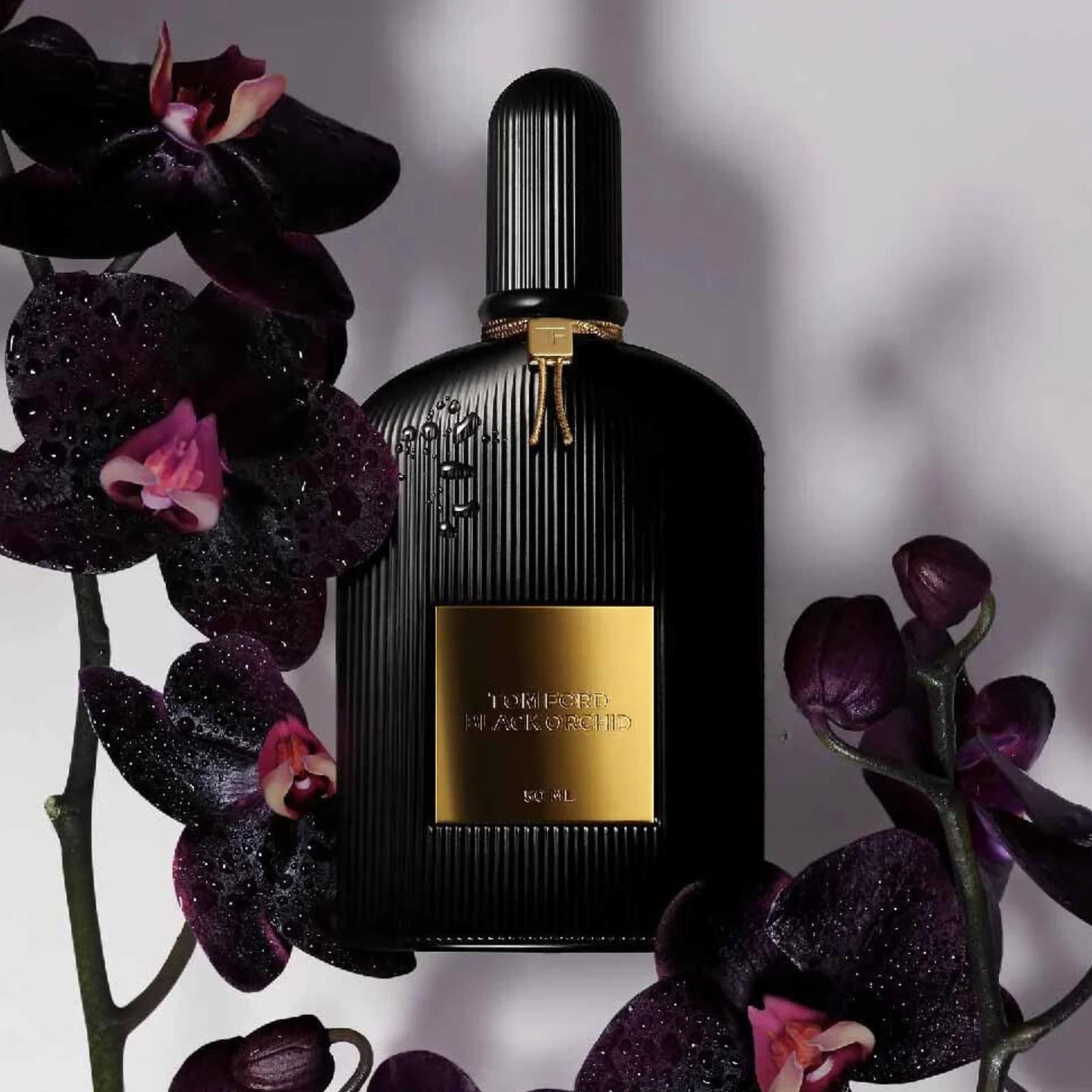 Tom Ford Black Orchid Eau De Parfum For Men & Women